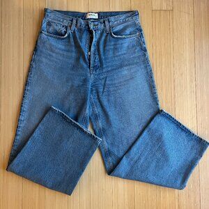 AGOLDE Low-Slung Wide-Leg Jean